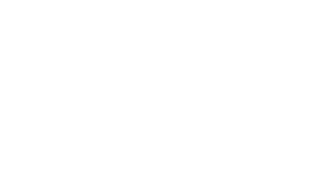 New Akita Dog of Ricowako